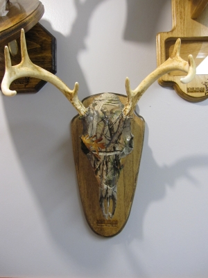 Camo Buck